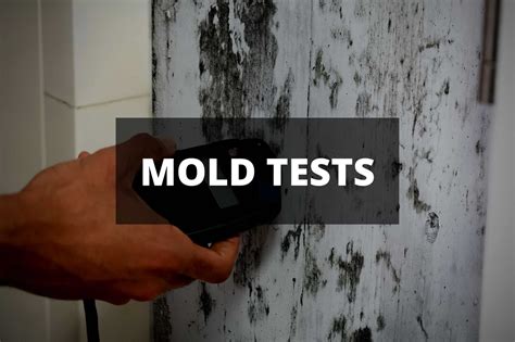 testing to prove my body was impacted by mold|mold exposure test for human.